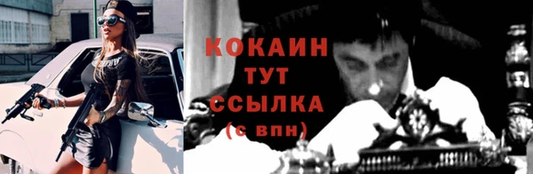 меф Вяземский