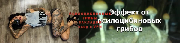меф Вяземский