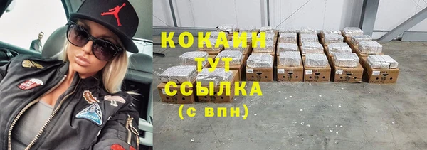 меф Вяземский